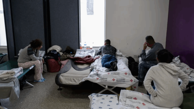 asylum