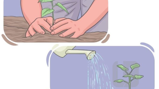 nourish