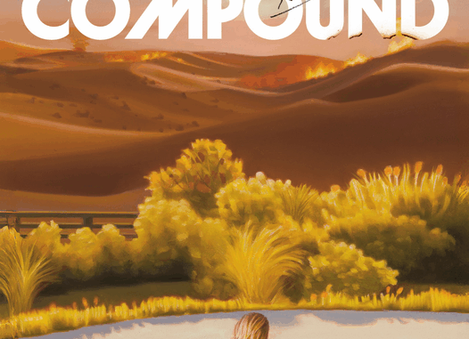 The_Compound__A_Novel_Aisling_Rawle_cover